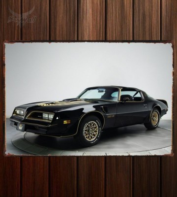 Металлическая табличка Pontiac Firebird Trans Am T A 6.6 RPO W72 Special Edition (Y82)